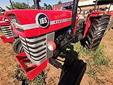 Massey Ferguson 165 Usados Tractorpool Co